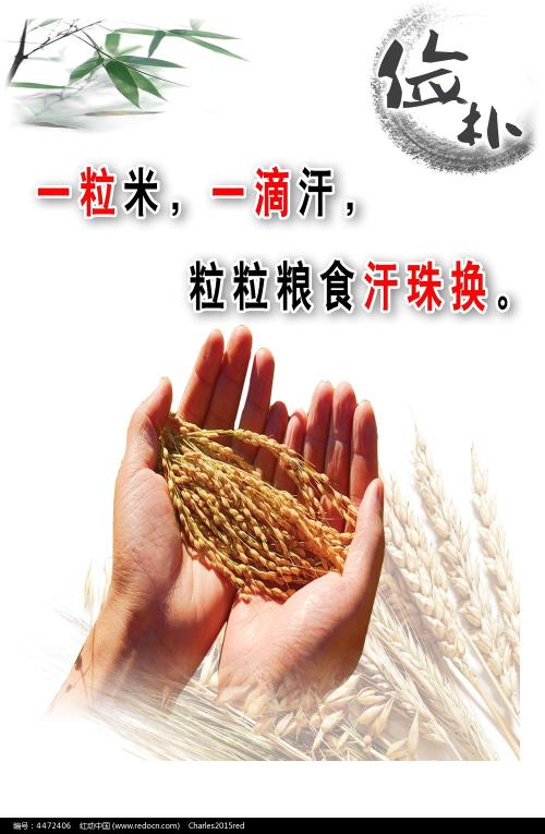 韩国釜山外国语大学 文凭毕业证样本照片
